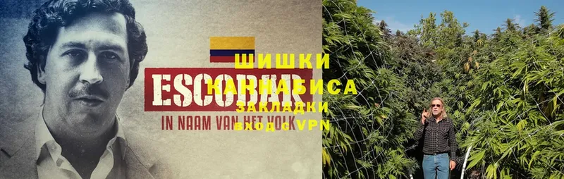 Марихуана THC 21%  сколько стоит  Кодинск 